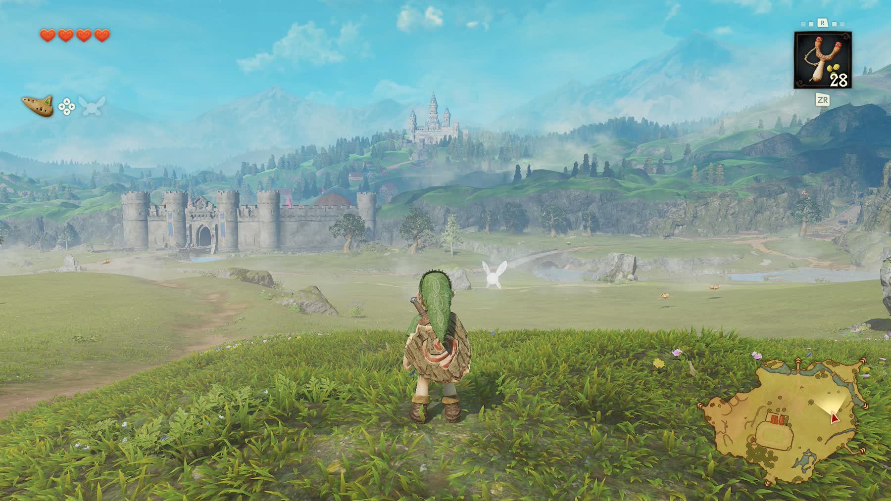 Adult Link standing in Hyrule Field with the landscape stretching ahead